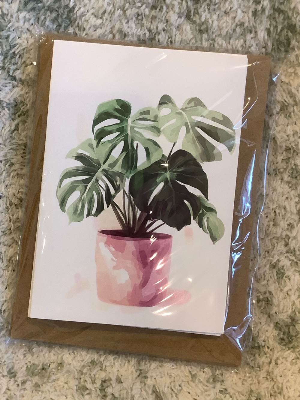 Potted Tropical Plants Note Cards Variety Pack Set of 6 Blank inside NWT HC